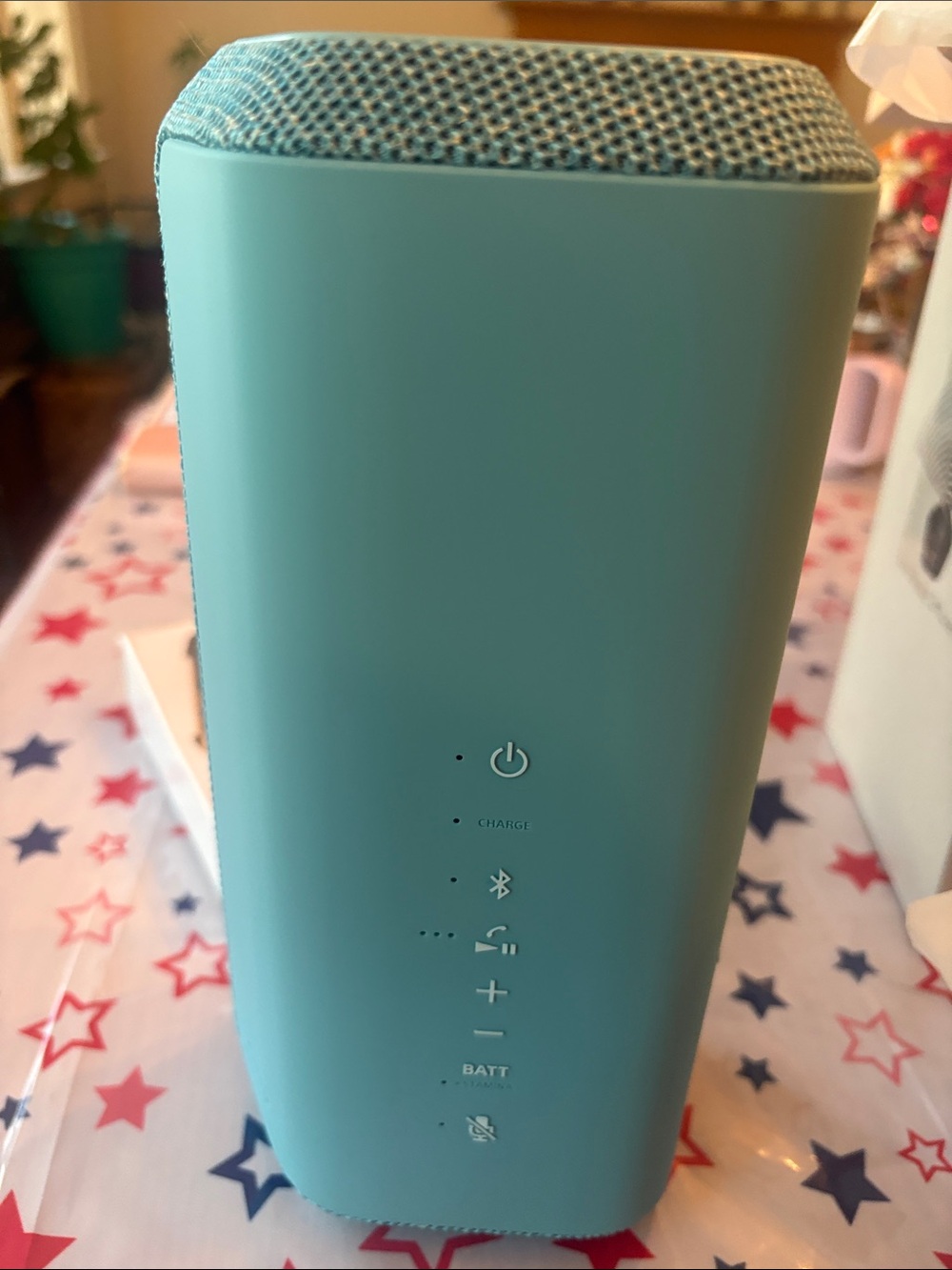 Sony XE300 Wireless Speaker — Teal Illustration - Picture 6 of 6